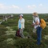 Полевая экскурсия на бугристое болото около г. Инты (5)